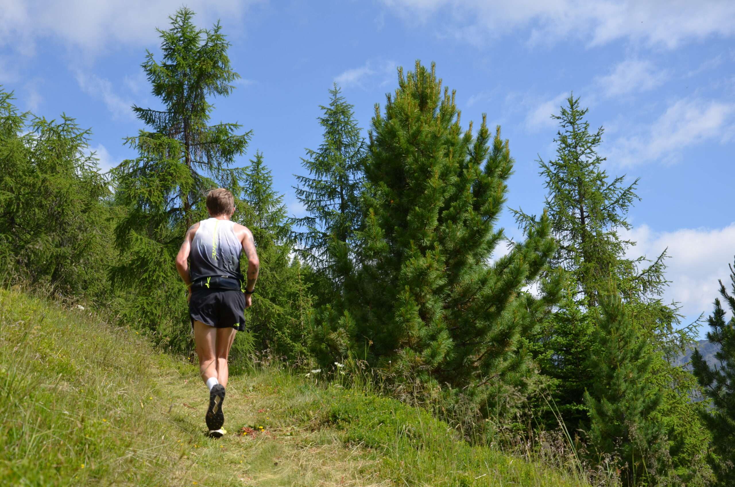 Trailrunning - Dr. Angerer Höhenweg