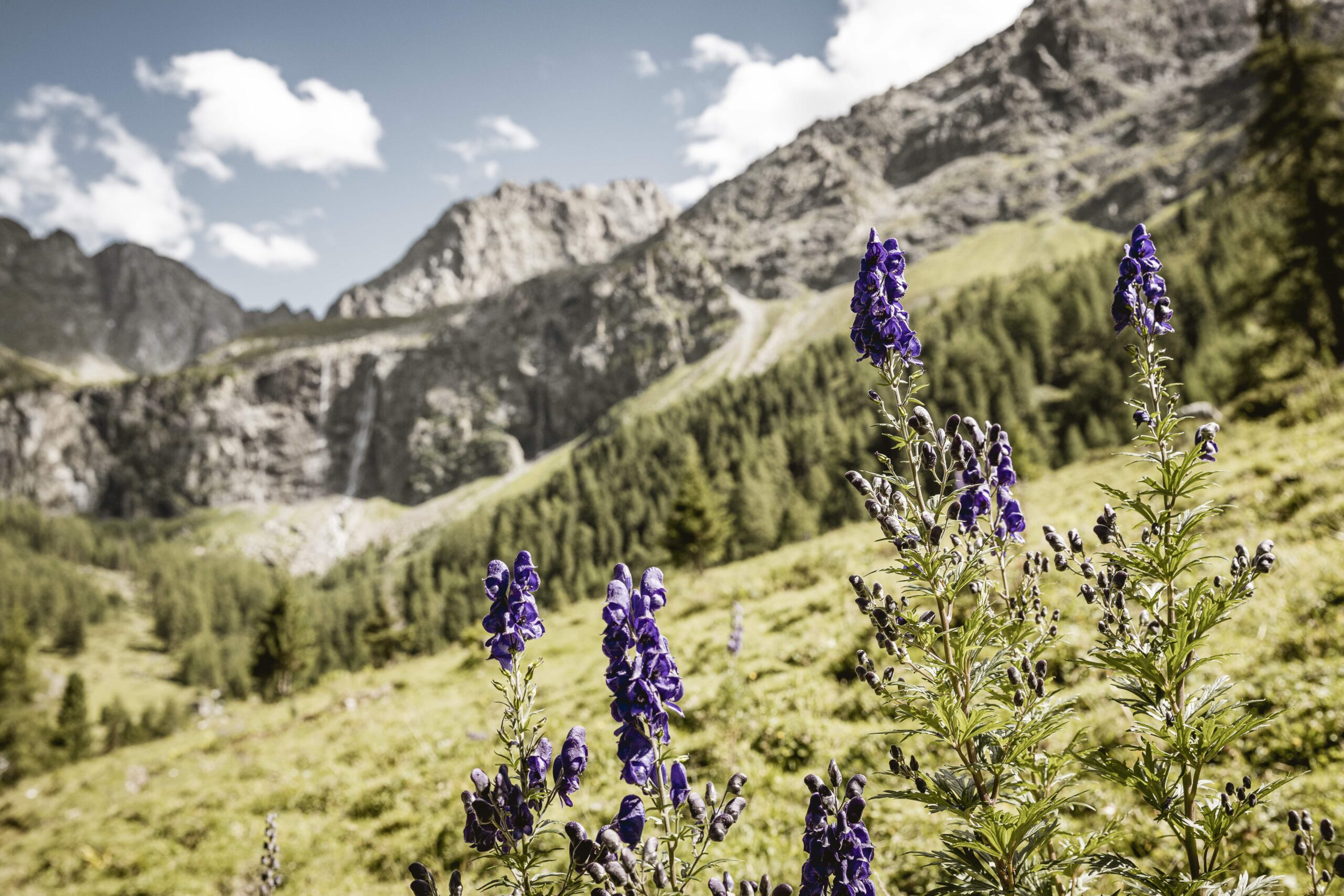 Trailrunning Tiroler Oberland - Tschey-Trail